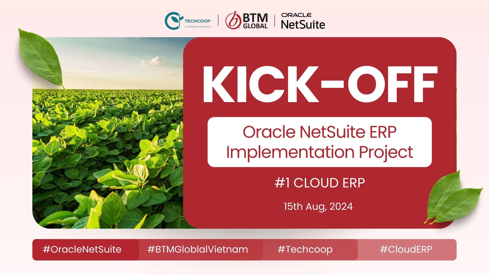 Techcoop Partners with BTM Global to implement Oracle NetSuite Cloud ERP System, enhancing Internal Management Efficiency