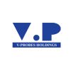 V-Probes Holdings Co., Ltd